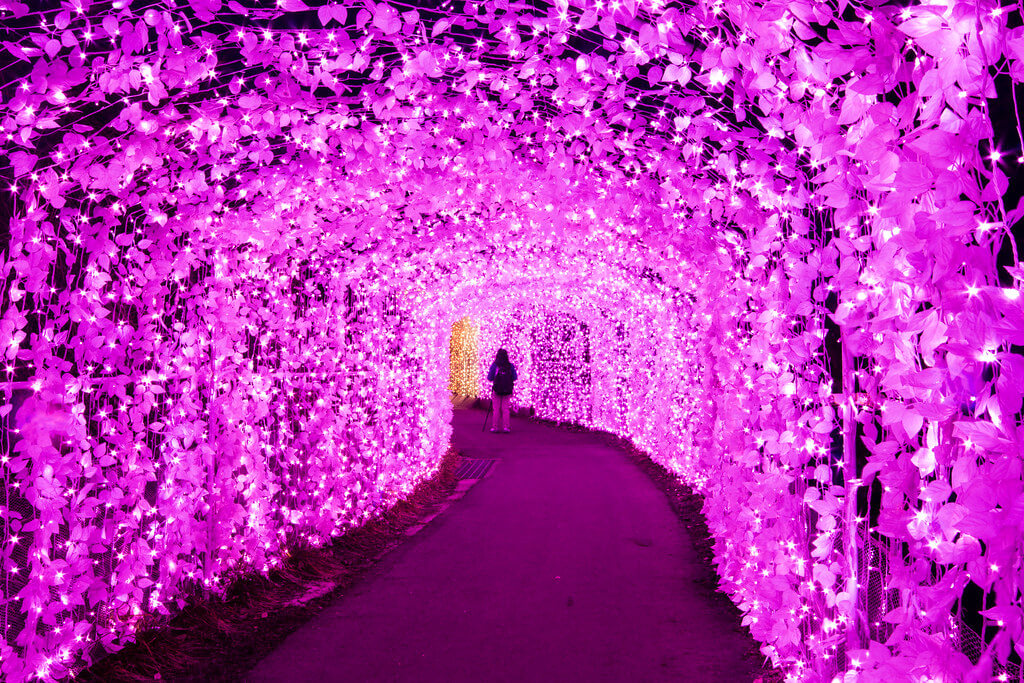 Sagamiko Resort Pleasure Forest In Sagamihara