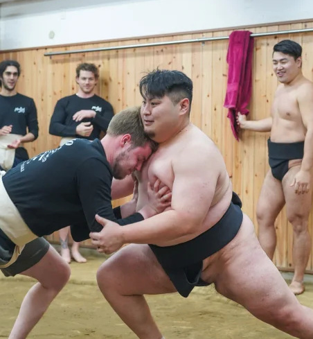 sumo 03