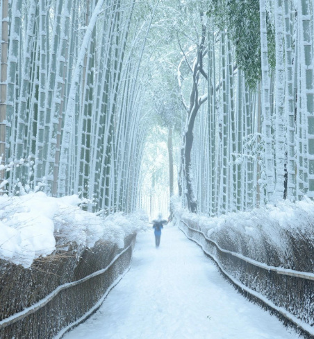 invierno 08