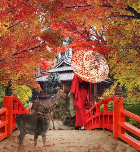 Ruta Dorada - Otoño Mágico nara1
