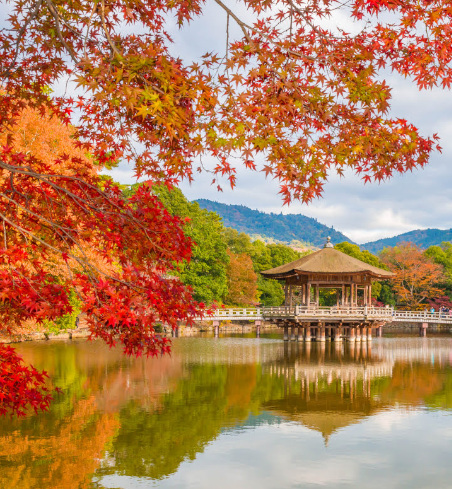 Ruta Dorada - Otoño Mágico nara2