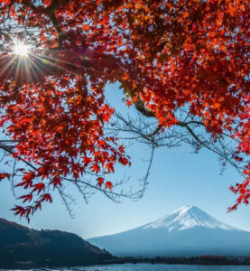 otoño 01