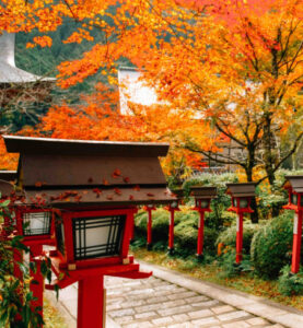 otoño 2